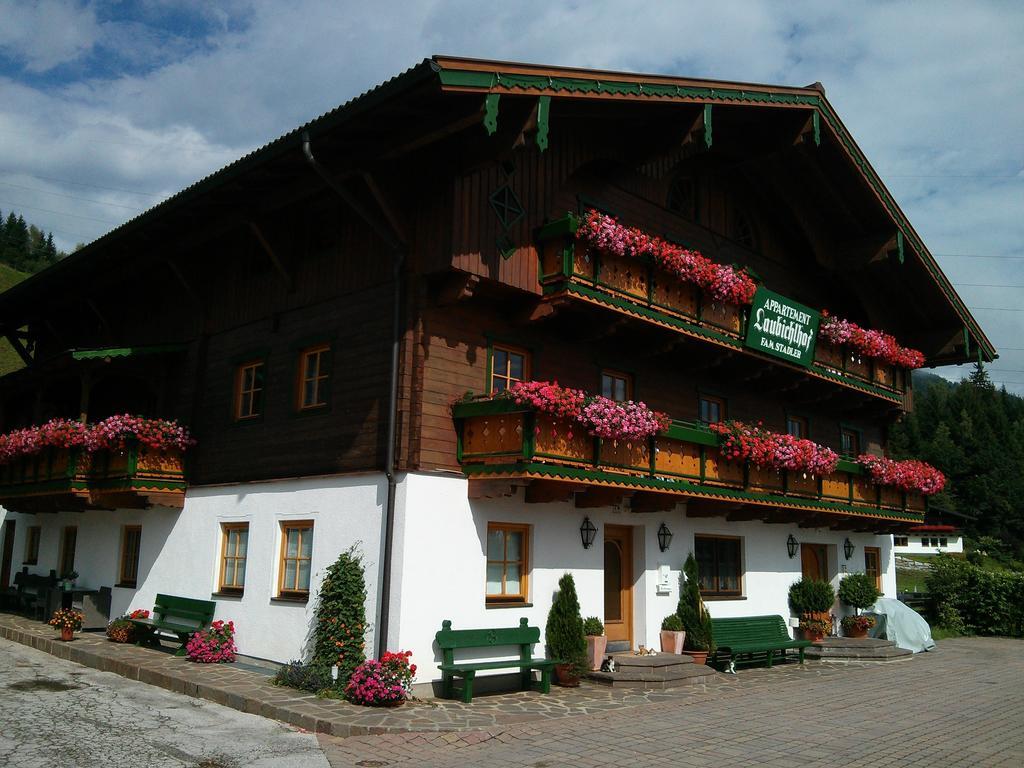 Laubichlhof Apartment Flachau Cameră foto